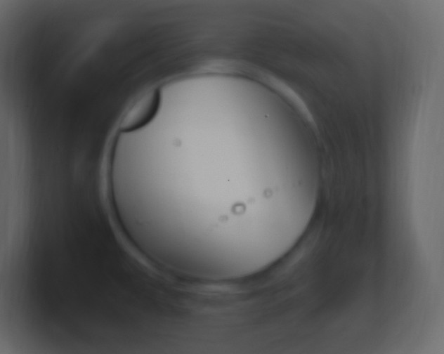 X0000101441479200807071016