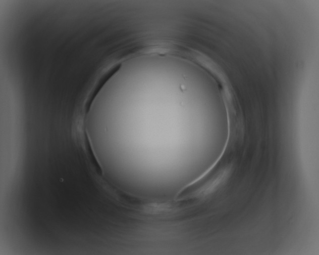 X0000101441481200807071016