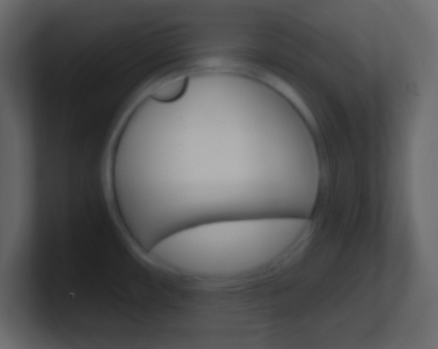X0000101441482200807071016