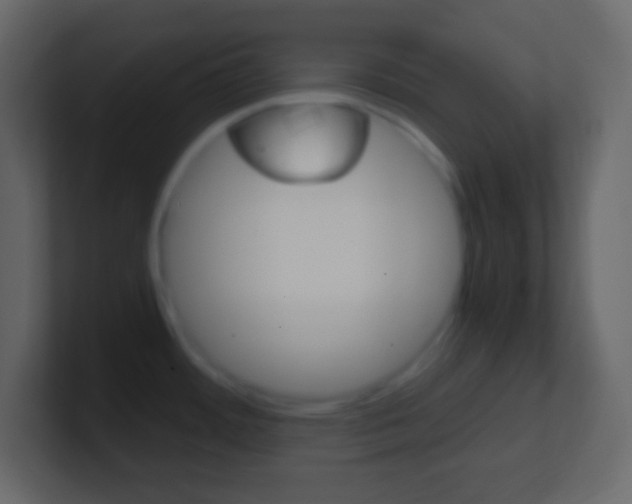 X0000101441484200807071016