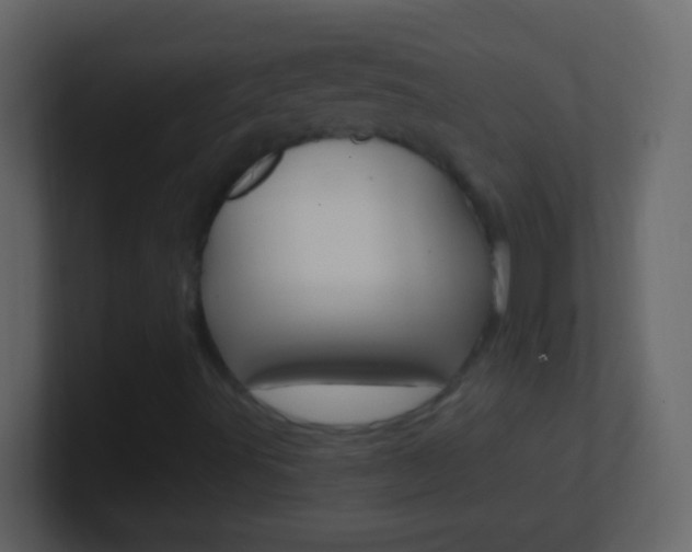 X0000101441491200807071015