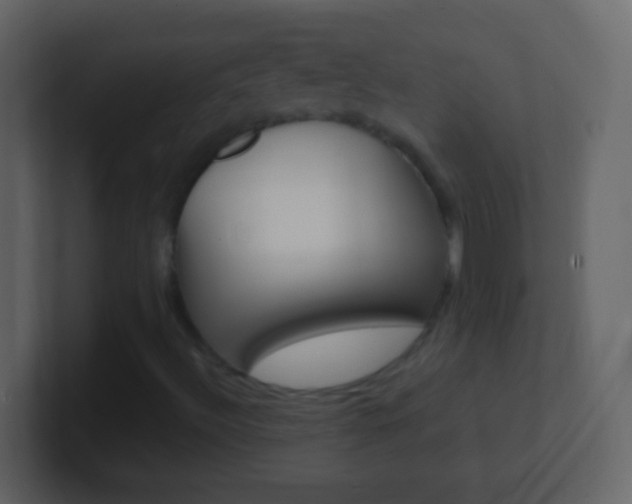 X0000101441492200807071015
