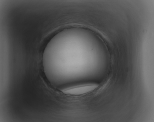 X0000101441494200807071015