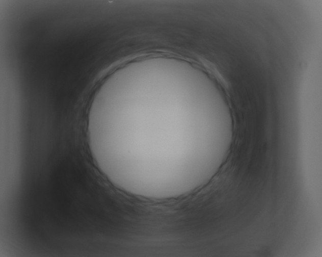 X0000101441496200807071015