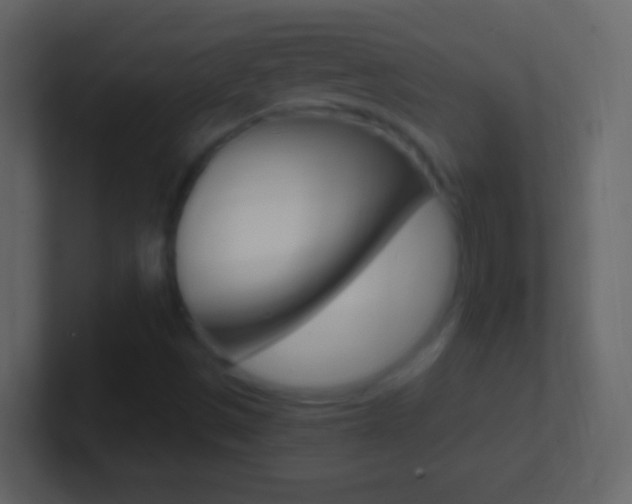 X0000101441497200807071015