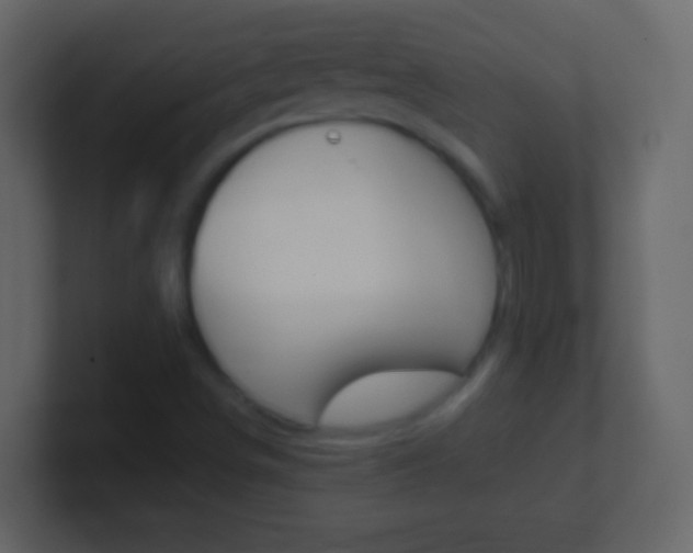 X0000101441498200807071015