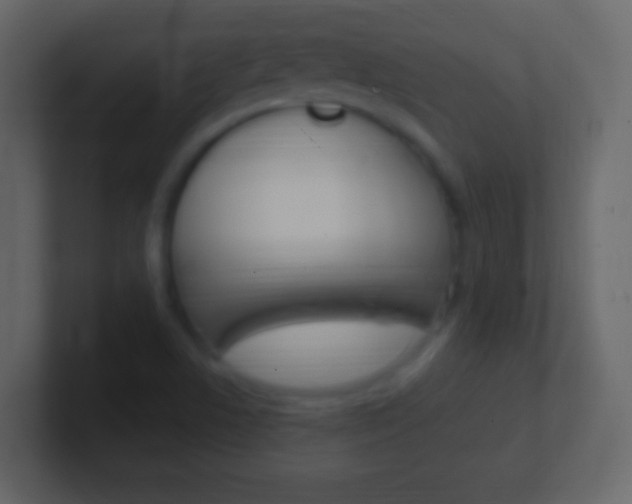 X0000101441506200807071016