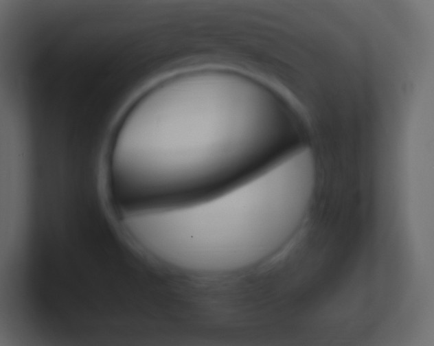 X0000101441518200807071016