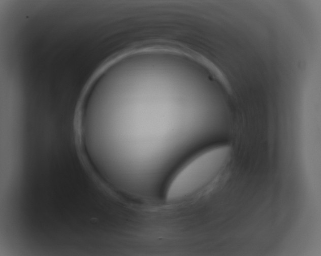 X0000101441522200807071016