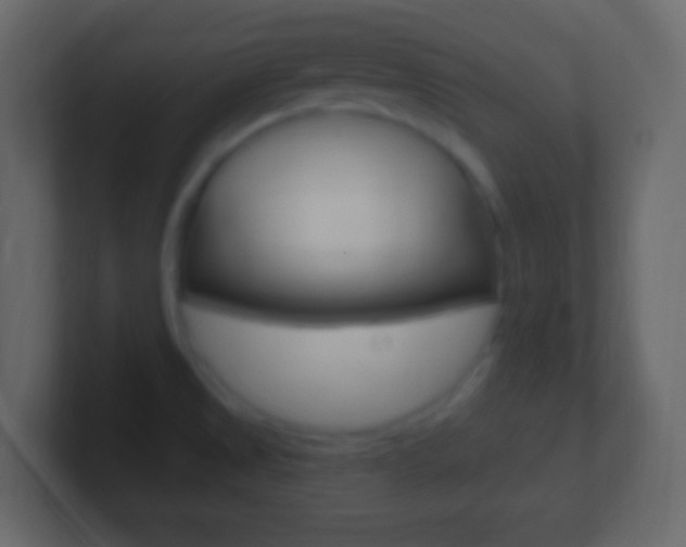 X0000101441525200807071016