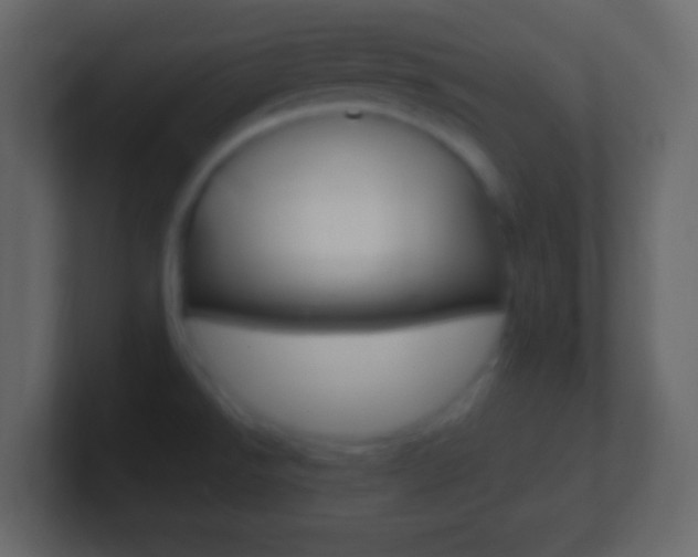 X0000101441526200807071016