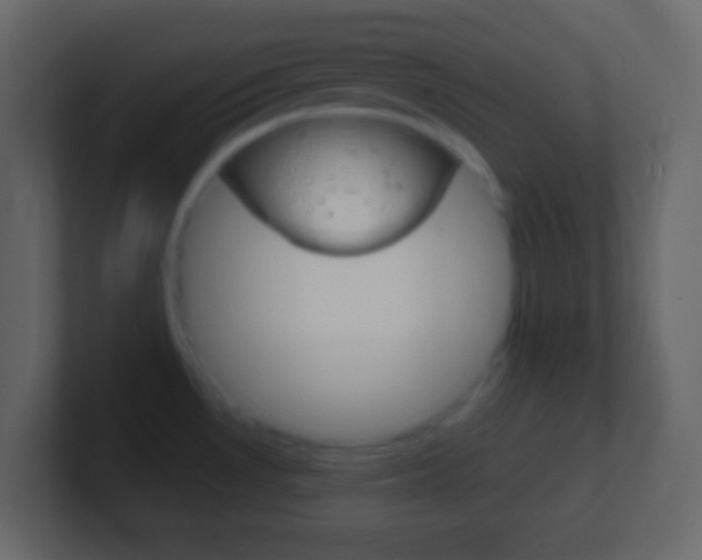 X0000101441530200807071016