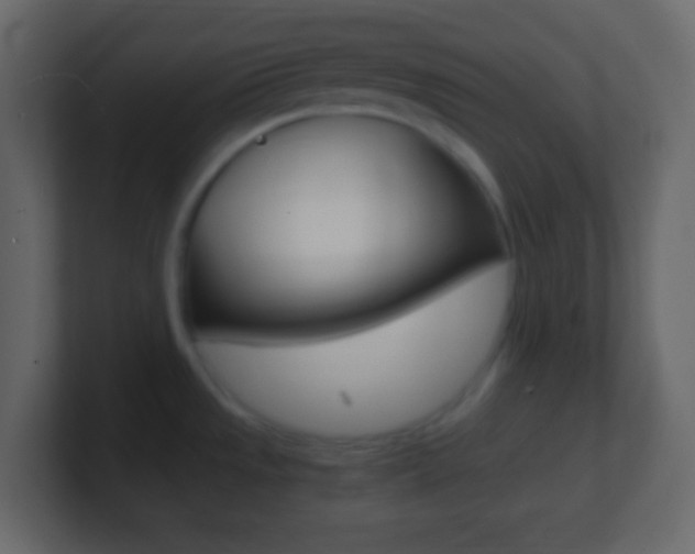 X0000101441533200807071016