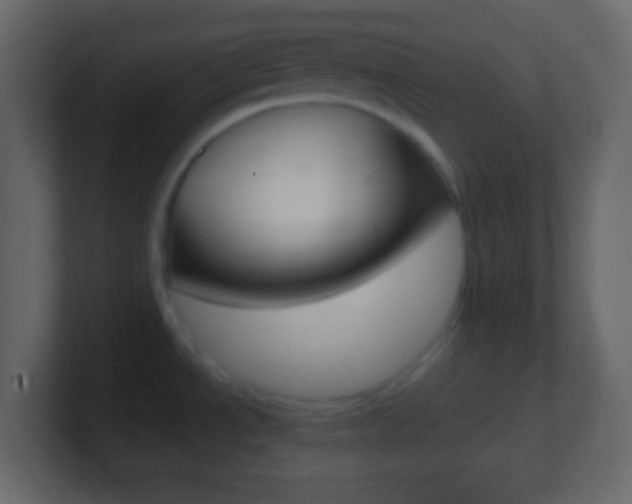 X0000101441534200807071016