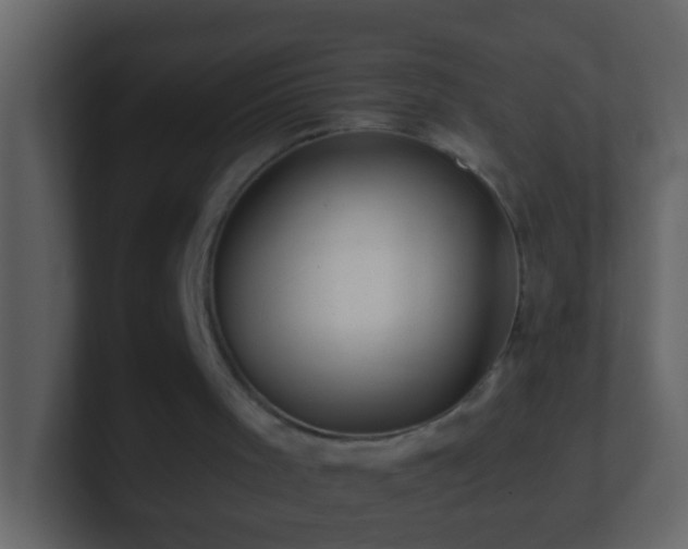 X0000101440001200807071412