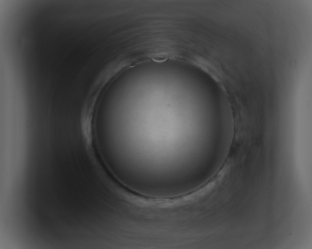 X0000101440002200807071412