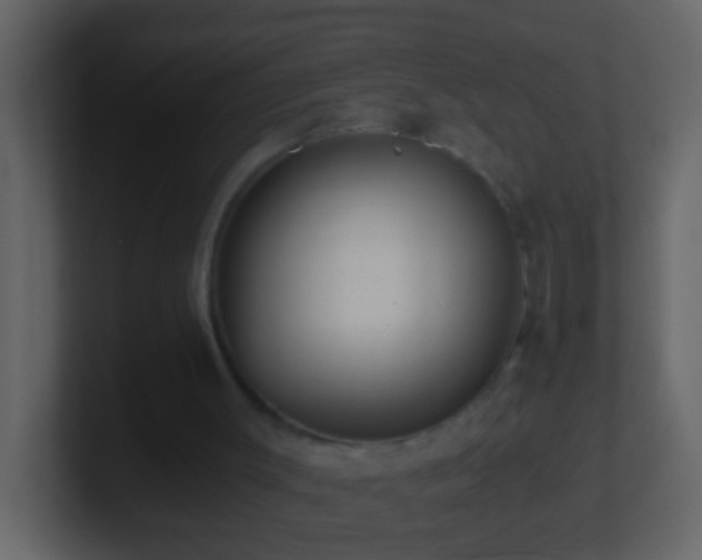 X0000101440003200807071412