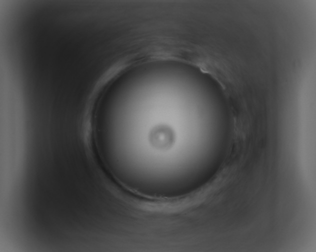 X0000101440005200807071412