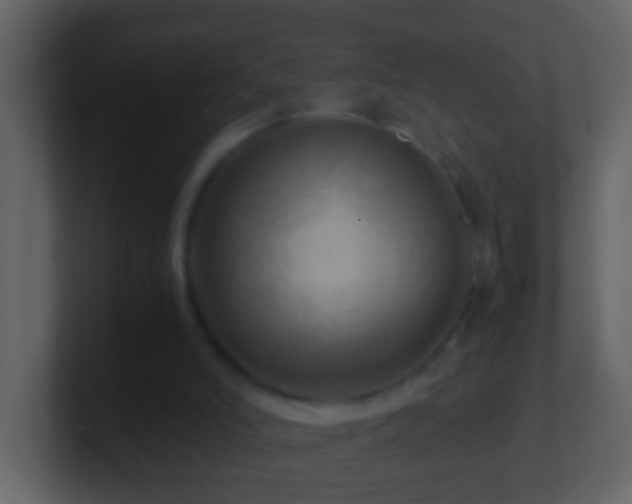 X0000101440006200807071412