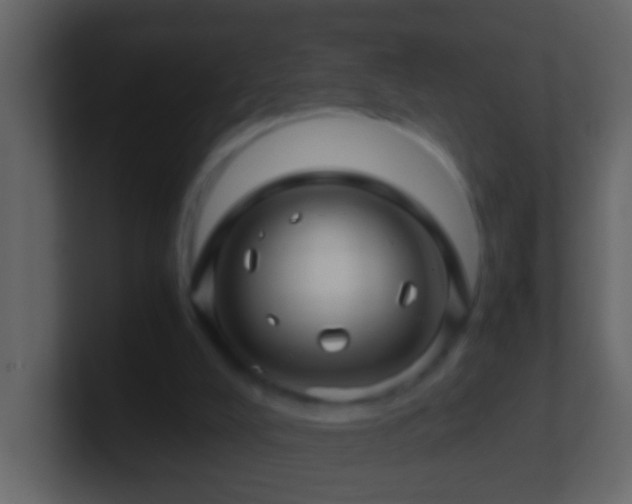 X0000101440008200807071412