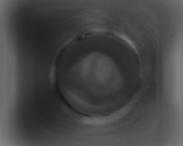 X0000101440009200807071412