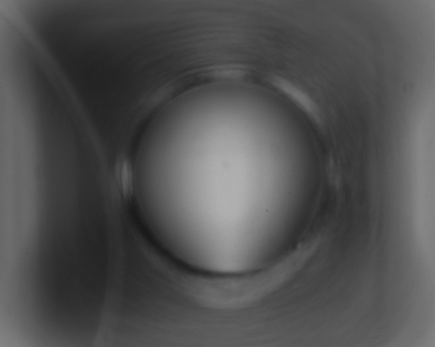 X0000101440013200807071412