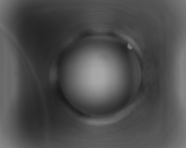 X0000101440017200807071412