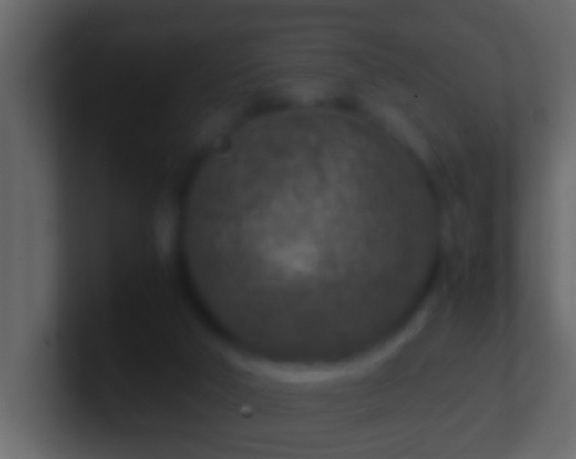 X0000101440018200807071412