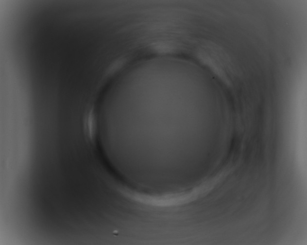 X0000101440019200807071412