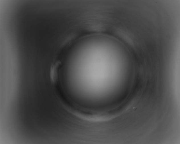 X0000101440020200807071412