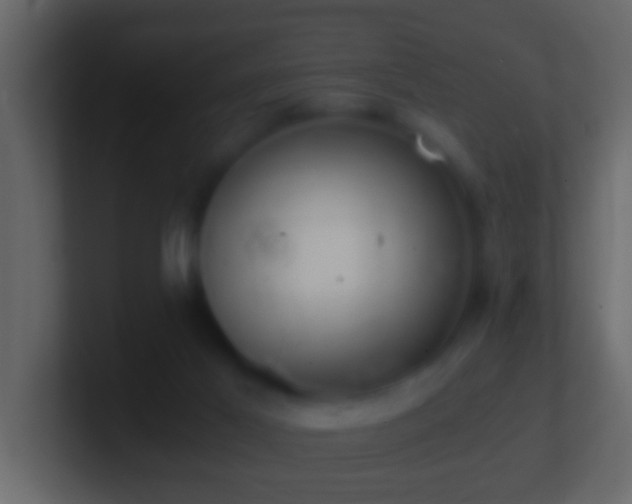 X0000101440021200807071412