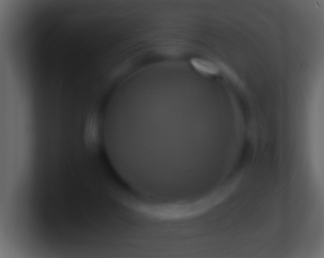 X0000101440023200807071412