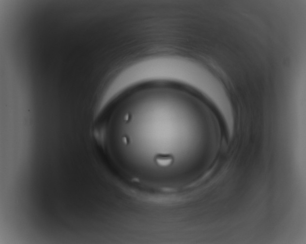 X0000101440024200807071412