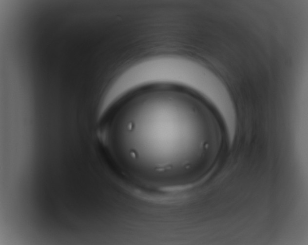 X0000101440028200807071412