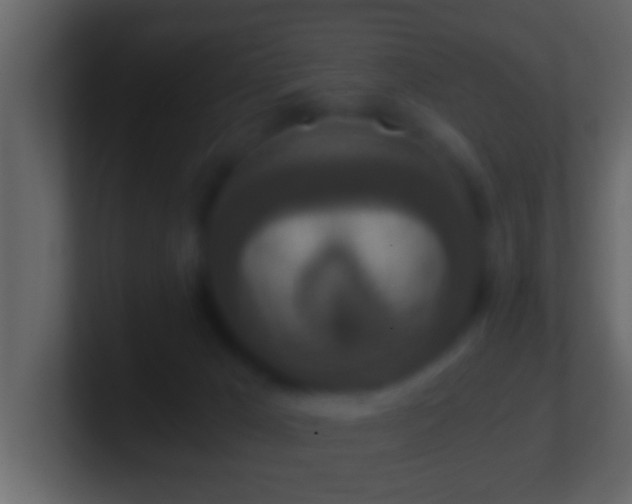 X0000101440029200807071412