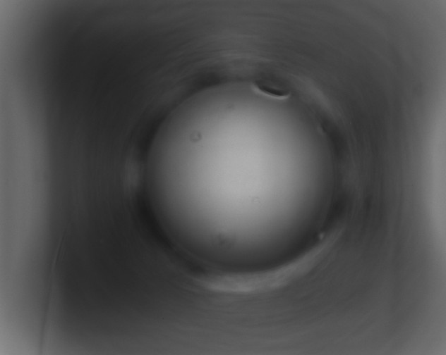 X0000101440033200807071412