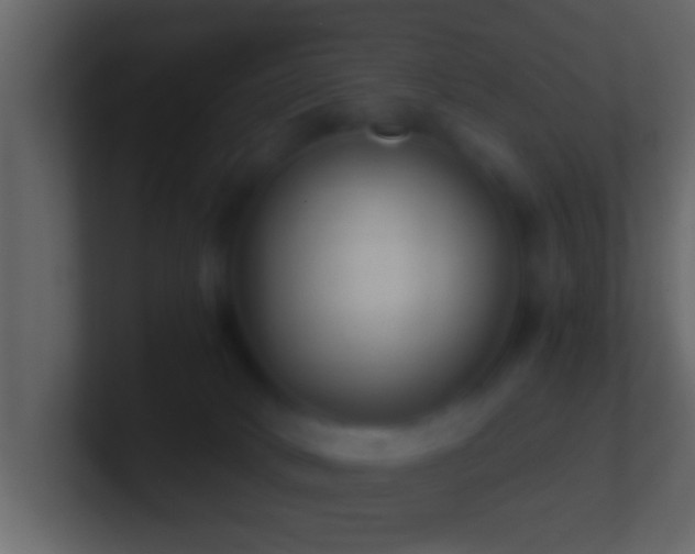 X0000101440034200807071412