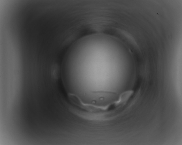 X0000101440036200807071412