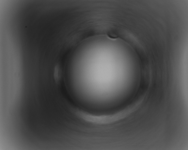 X0000101440038200807071412