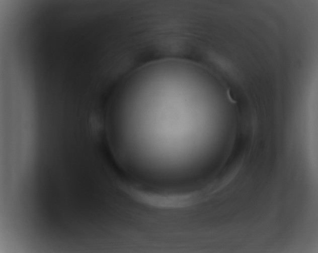 X0000101440040200807071412