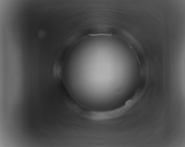 X0000101440045200807071412