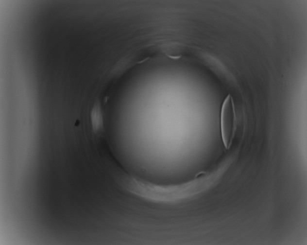 X0000101440046200807071412