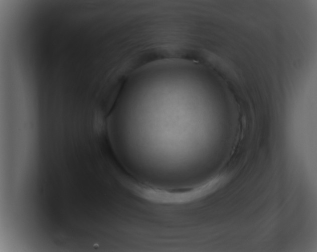 X0000101440048200807071412