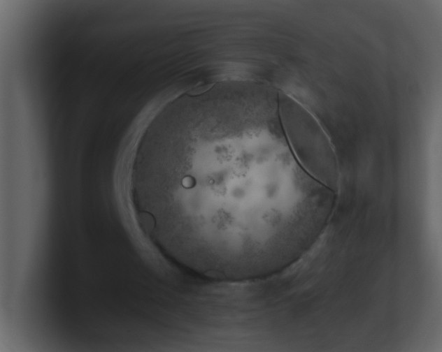 X0000101440049200807071411