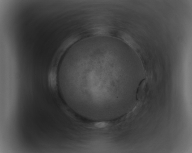 X0000101440050200807071411