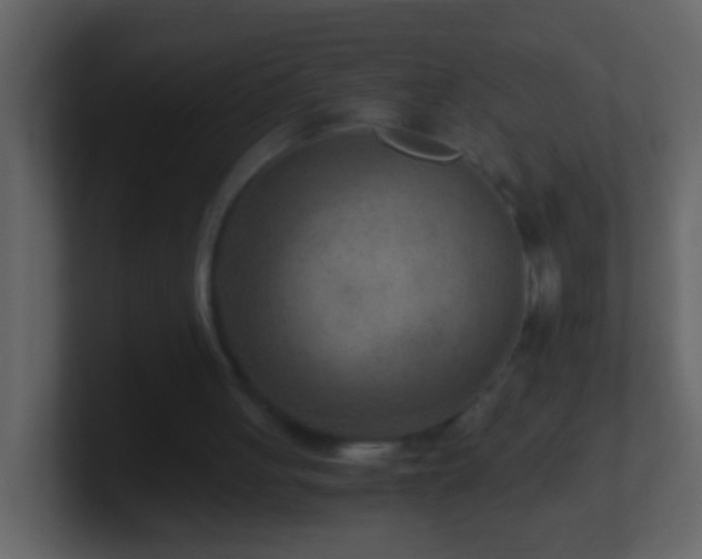 X0000101440051200807071411