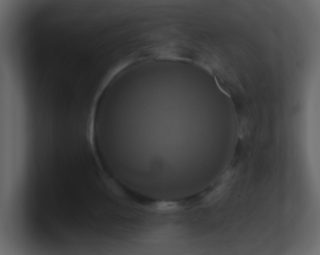 X0000101440052200807071411