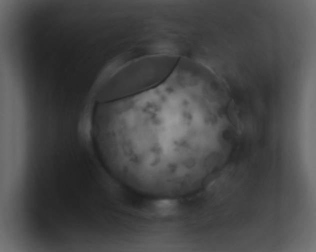 X0000101440053200807071411