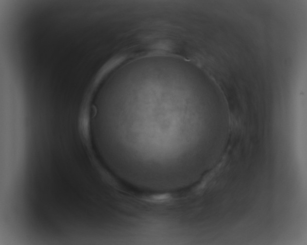 X0000101440054200807071411