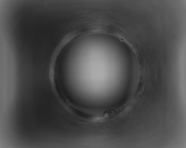 X0000101440055200807071411